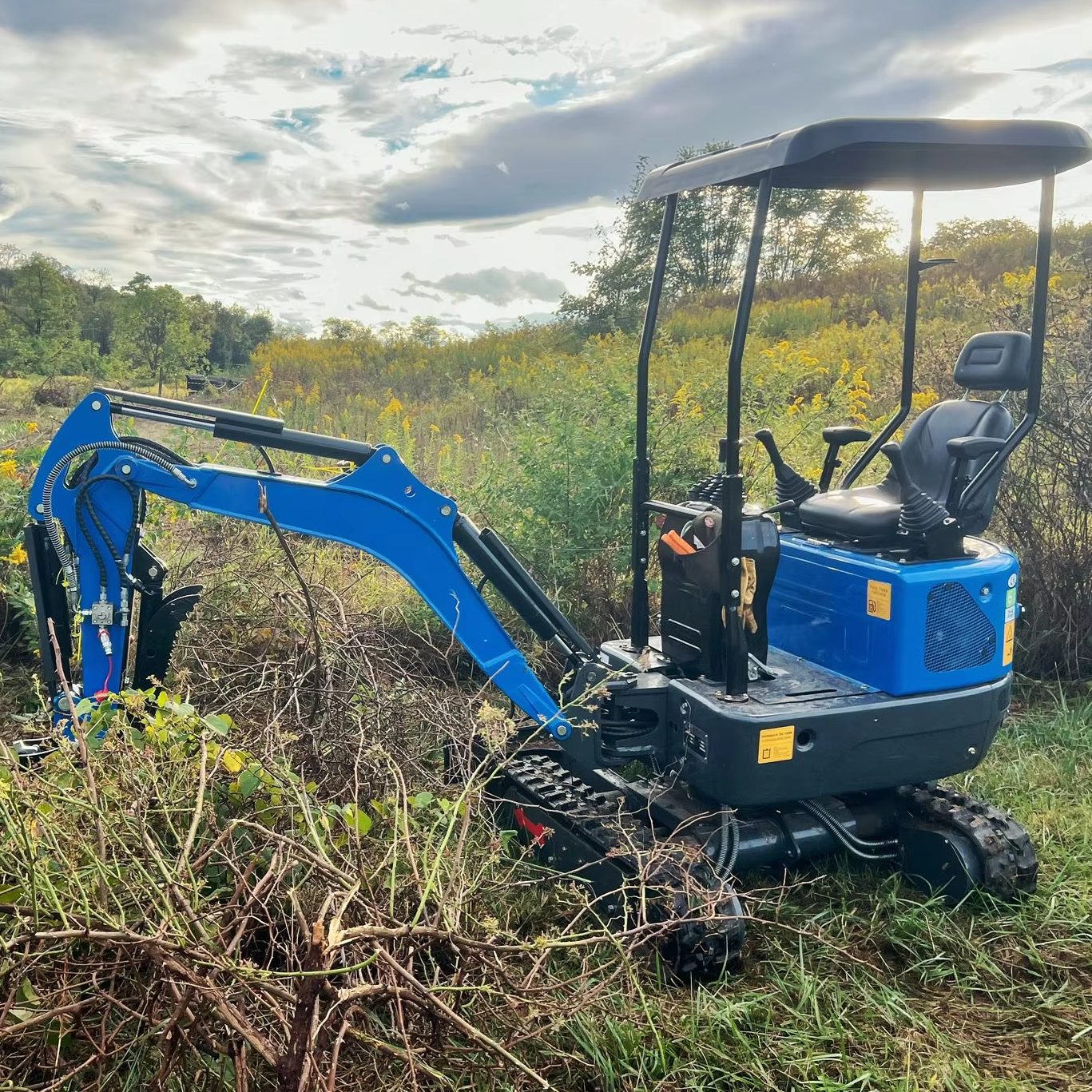 Корчевание пней и чистка сада